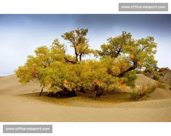 洪流中的脊梁：担当与温情铸就生命防线
