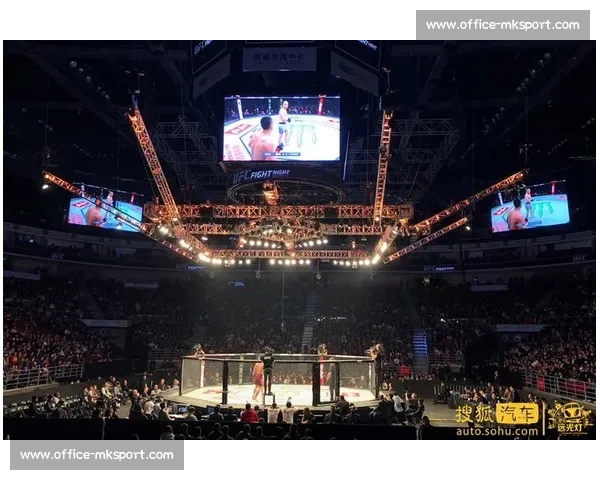 UFC 中国力量:中国选手征战八角笼的征程 UFC 中国力量:中国选手征战八角笼的征程